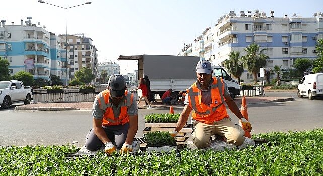 Antalya yazlık çiçeklerle rengarenk olacak