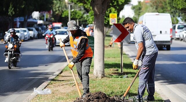 Antalya’da 2 milyon yazlık  çiçek toprakla buluşuyor