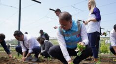 Beylikdüzü Belediyesi tarafından hayata geçirilen ve kent tarımına büyük katkı sunan Yaşam Bahçesi’nde yaz mevsiminin ilk fideleri dikildi