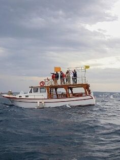 Çeşme’de TYF Kamil Yıldırım Optimist Trofesi Yelken Yarışladı Başladı