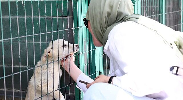 Hayvan Dostu Öğrencilerden Barınağa Ziyaret