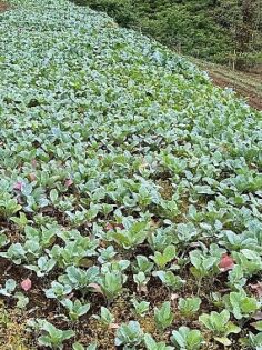 Karadeniz Ekonomisinin Görünmeyen Kahramanları