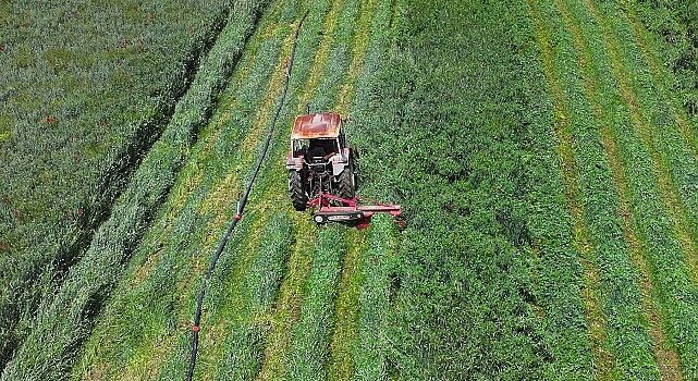 Konya Büyükşehir’in Macar Fiği Tohumu Desteği ile Ekilen Tarlalarda Hasat Yapıldı  Başkan Altay: “Çiftçimize Verdiğimiz Desteklerle Millî Ekonomiye Katma Değer Sağlıyoruz”