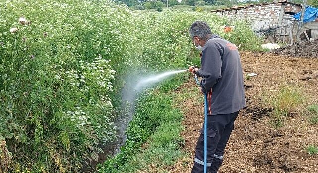 Lüleburgaz Belediyesi uçkun mücadelesini sürdürüyor