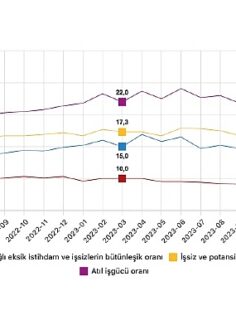 Tüik: Mevsim etkisinden arındırılmış işsizlik oranı %8,6 seviyesinde gerçekleşti