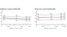 Tüik: Mevsim etkisinden arındırılmış işsizlik oranı %8,7 seviyesinde gerçekleşti