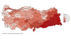 Tüik: Ortalama hanehalkı büyüklüğü 3,14 oldu