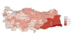 Tüik:  Yükseköğretim mezunlarının oranı 25 yaş ve üzeri nüfusta %24,6 oldu