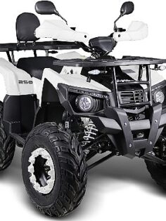 A101’e 20 Haziran’da Uygun Fiyatlı Benzinli ATV Geliyor