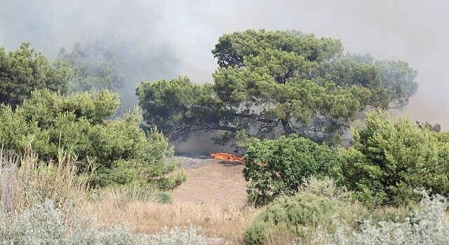 Antalya Büyükşehir İtfaiyesi alevlerle mücadele ediyor