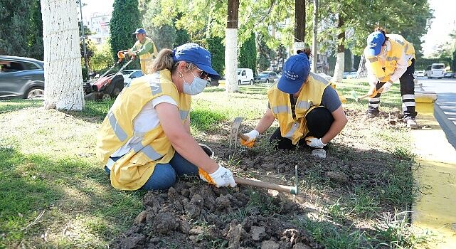 Aydın Büyükşehir Belediyesi, Aydın’ın dört bir tarafını mevsimlik çiçekler ile süslemeye devam ediyor