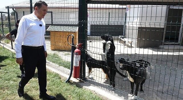 Başkan Özyiğit, “Bakımevimizde sokak hayvanlarını sahiplendirmeye başladık”