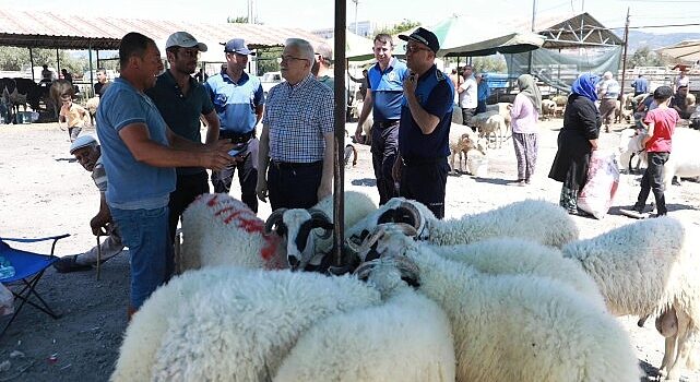 Burhaniye Belediyesi Kurban Bayramı Arifesinde kurban satış ve kesim yerlerini denetledi