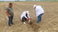 Büyükşehir’den çiftçilere ücretsiz toprak analizi