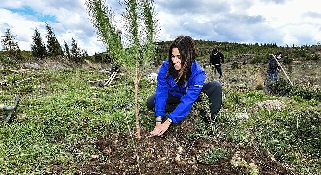 Enerjisa Üretim, ‘Her Fidan Bir Umut’ projesi ile Türkiye’nin ormanlarına 1 milyonu aşkın fidan dikiyor