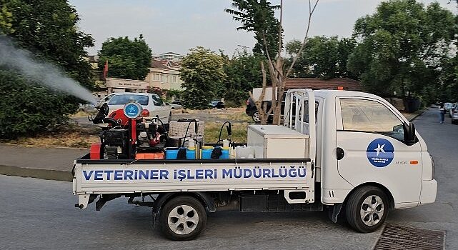 Küçükçekmece Belediyesi, sivrisineklere karşı kapsamlı bir mücadele başlattı