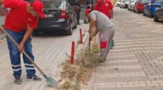 Menderes Belediyesi’nde Yol Temizliği