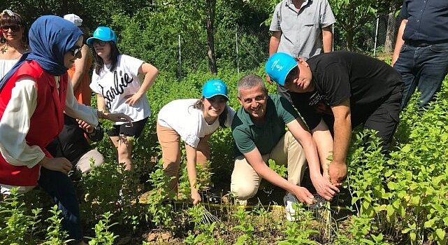 Özel çocuklarımız sebze ve aromatik bitki yetiştiriyor