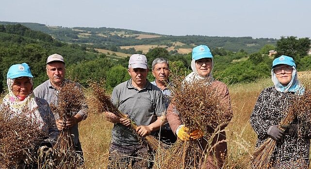 Tarım kenti Kandıra’da, Kandıra Belediyesi tarafından tarımsal üretimi desteklemek amacıyla sürdürülen çalışmalar aralıksız devam ediyor