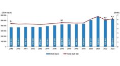 Tüik: Ölüm sayısı 2023 yılında 525 bin 814 oldu