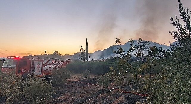 Antalya Büyükşehir ekiplerinden orman yangınına müdahale