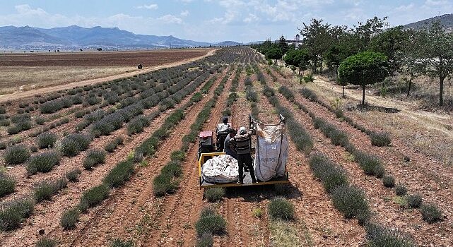 Başkan Altay: “Lavanta Desteğiyle Hem Bölge Turizmine Hem de Çiftçimize Katkı Sağladık”