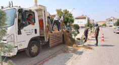 Karaman Belediyesi, Zeytin Dalı Bulvarı’nın valilik kısmında trafik güvenliğini ve akışını rahatlatmak için orta refüj düzenlemesi yapıyor