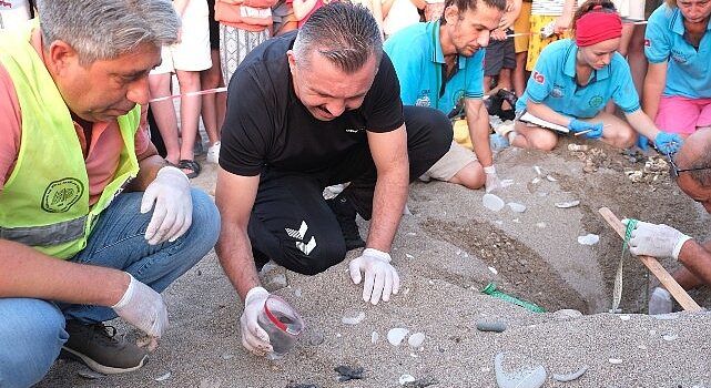 Kemer’de son 30 yılın caretta caretta rekoru bekleniyor