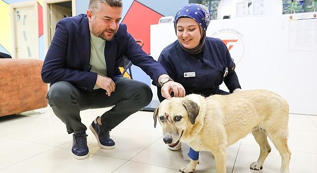 Saldırıya uğrayan can dostuna Buca Belediye Başkanı Duman’dan ziyaret