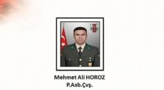 Şehit Mehmet Ali Horoz’un Vasiyeti Nijerya’da Hayat Buldu