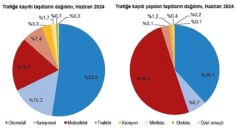 Tüik: Haziran ayında 198 bin 581 adet taşıtın trafiğe kaydı yapıldı