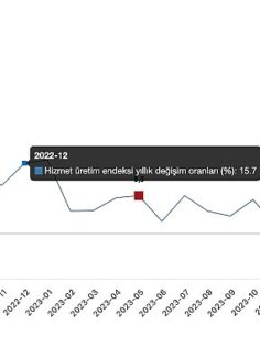 Tüik: Hizmet üretim endeksi yıllık %0,8 arttı