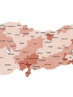 Tüik: İl Düzeyinde İşgücü İstatistikleri, 2023