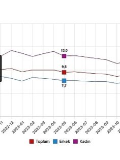 Tüik: Mevsim etkisinden arındırılmış işsizlik oranı %8,4 seviyesinde gerçekleşti