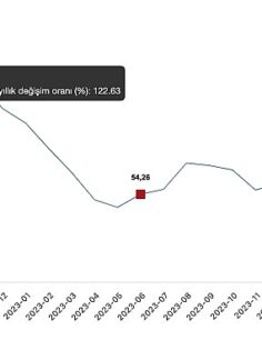 Tüik: Tarım ürünleri üretici fiyat endeksi (Tarım-ÜFE) yıllık %54,58 arttı, aylık %1,95 arttı