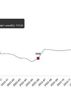 Tüik: Yurt Dışı Üretici Fiyat Endeksi (YD-ÜFE) yıllık %44,51 arttı, aylık %0,97 arttı