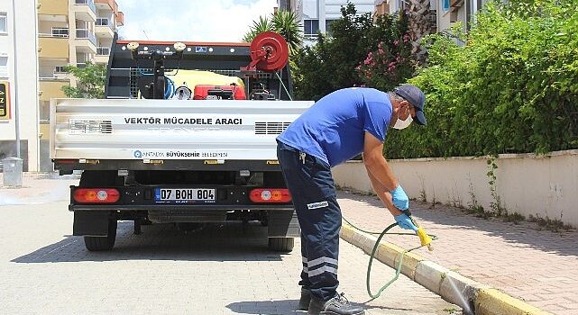 Büyükşehir vektörle mücadele çalışmasını aralıksız sürdürüyor