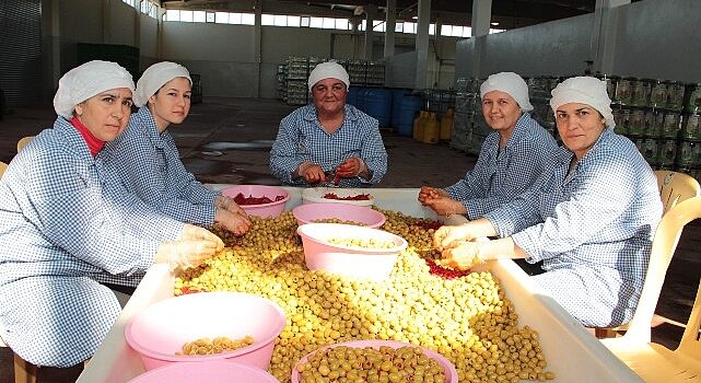 Sofralık zeytin ihracatı 200 milyon dolara koşuyor