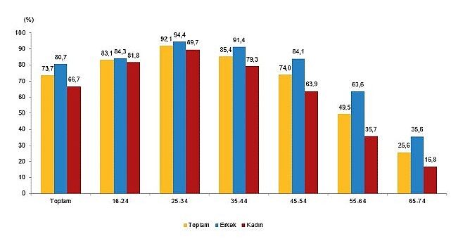 Tüik: İnternet kullanan bireylerin oranı %88,8 oldu