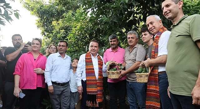 Başkan Böcek’ten avokado ve mango hasadı