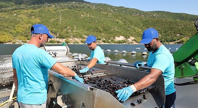 CarrefourSA’dan Mavi Ekonomi ile Sürdürülebilir Deniz Ürünleri Atağı