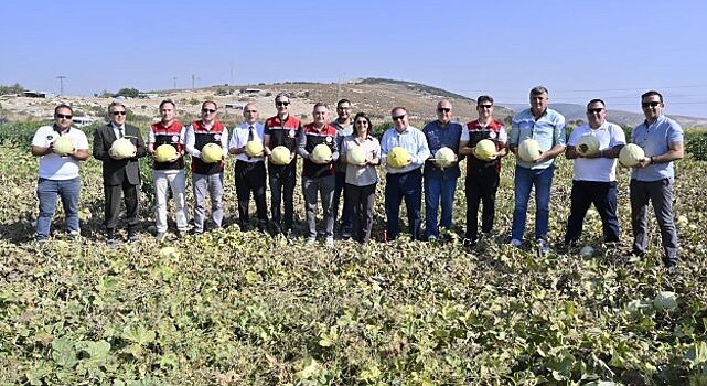 Foça’da 5. Geleneksel Kavun Hasat Şenliği Coşkuyla Kutlandı