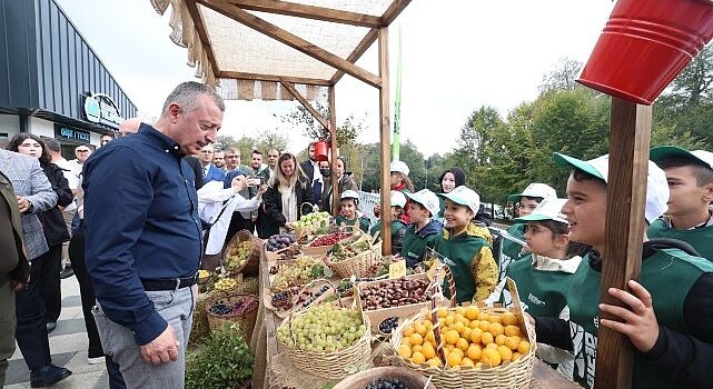 Samanlı Dağlarına 10 Kızıl geyik salındı;  Doğa dostu Büyükşehir ekosistemi koruyor