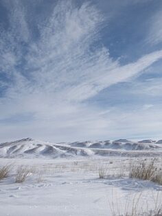 ‘Vahşi Moğolistan: Mavi Gökyüzü Ülkesi’ 7 Eylül Cumartesi Günü 21.00’de National Geographic WILD Ekranlarında!