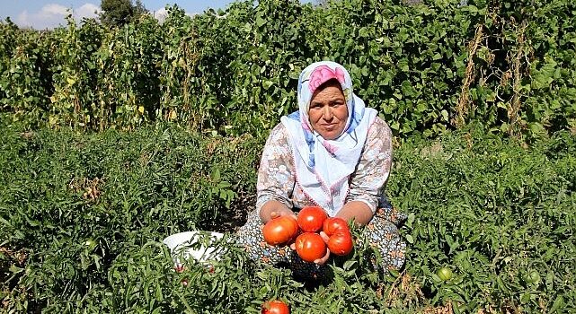 Yamanlar yılın en renkli şenliğine hazır!