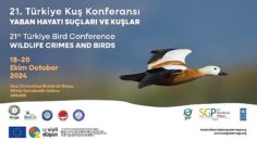 21. Türkiye Kuş Konferansı 18-20 Ekim 2024’te Yaban Hayatı Suçları ve Kuşlar temasıyla Ankara’da.