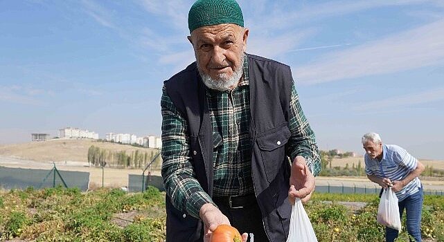 Bostanın Son Hasadı Huzurevi Sakinlerinden