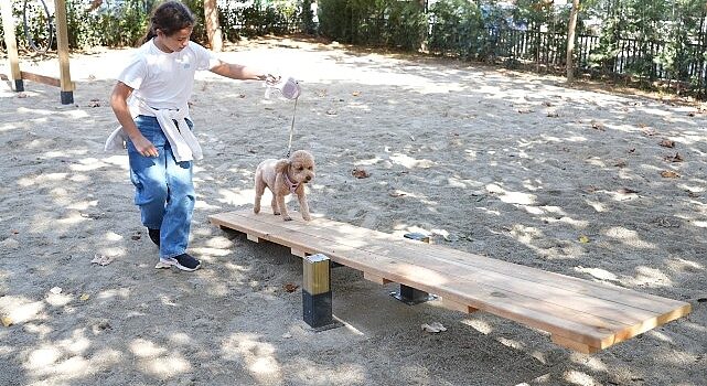 Hayvanları Koruma Günü’nde Kadıköy’de “Pati Park” Açıldı