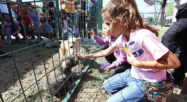 Hayvanları Koruma Gününe Renkli Kutlama