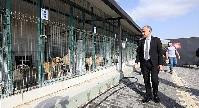 İnegöl’de Sokak Hayvanları İçin Yeni Adımlar Atılıyor